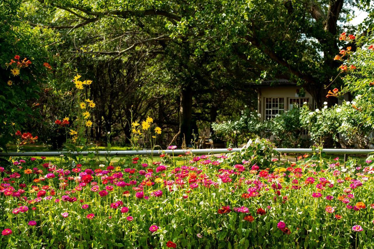 Wetlands Country House & Sheds Wakkerstroom Luaran gambar