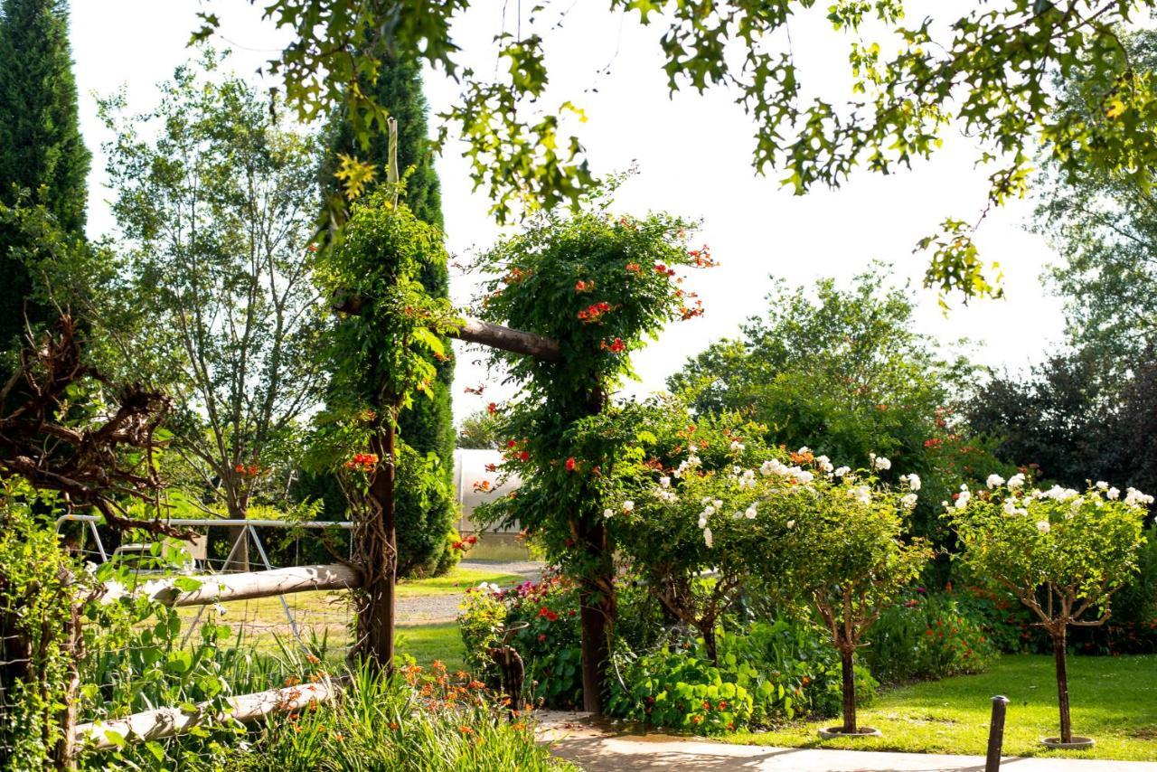 Wetlands Country House & Sheds Wakkerstroom Luaran gambar
